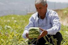  ابتکار کشاورز لبنانی در کشت هندوانه