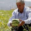  ابتکار کشاورز لبنانی در کشت هندوانه